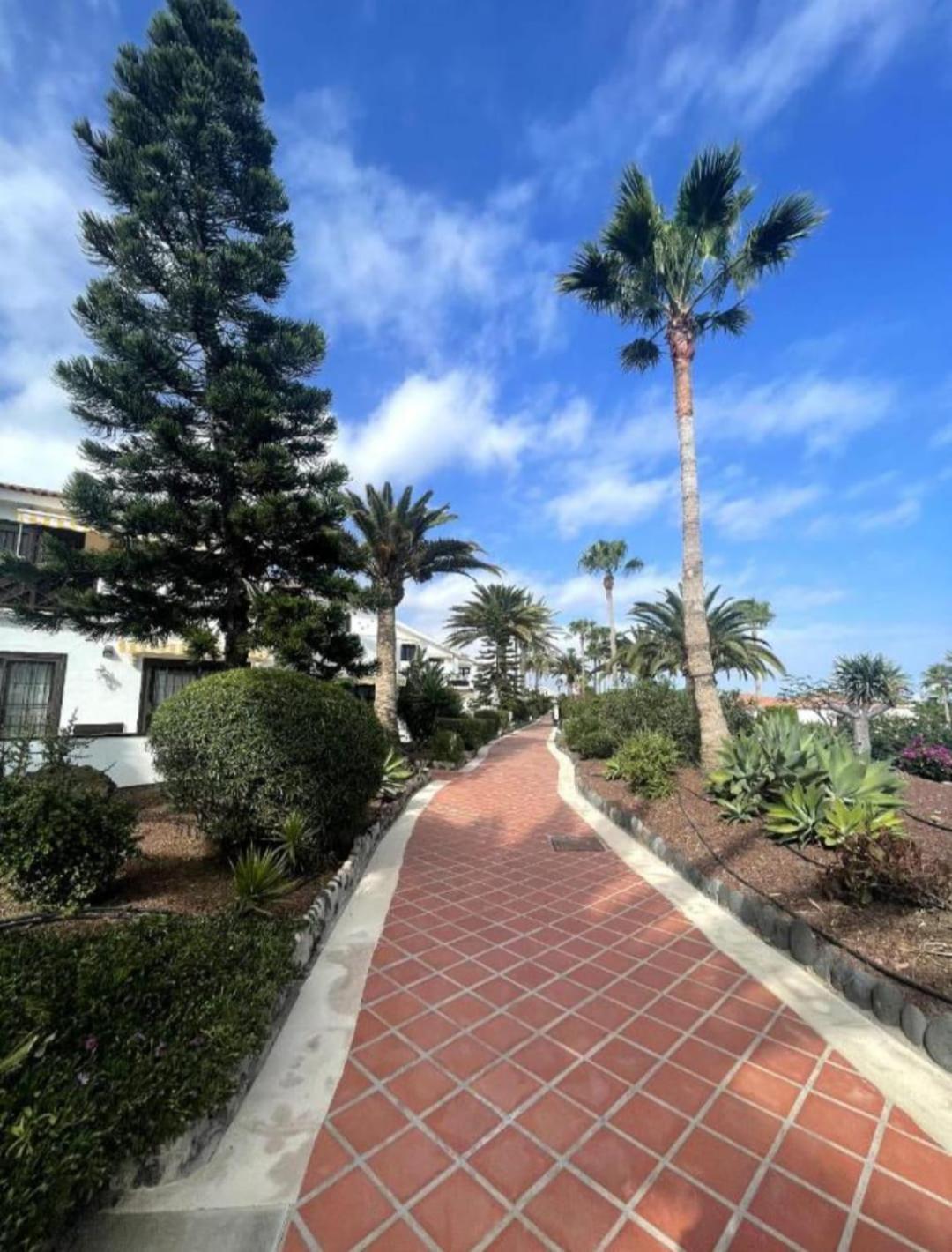APARTMENT in Amarilla Golf 2 bedrooms San Miguel de Abona Buitenkant foto